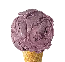 Black Raspberry